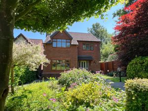 Photo 22- click for photo gallery